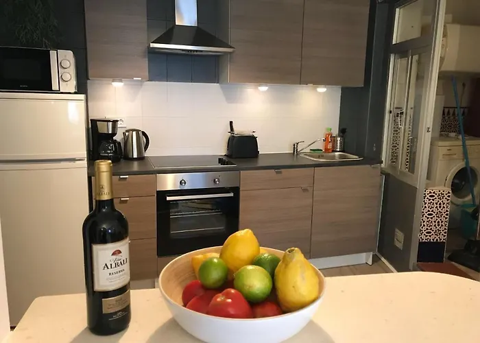 Cactus 2 Bedroom Apartment On Calle San Miguel Minutes From The Beach By Namaste Elite
