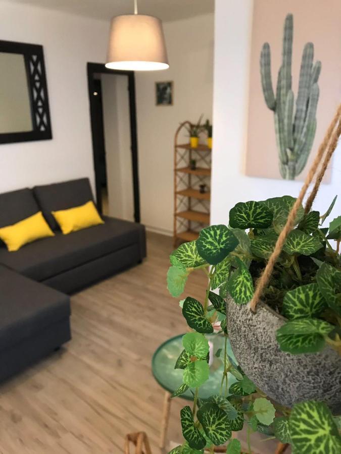 Apartment Cactus 2 Bedroom On Calle San Miguel Minutes From The By Namaste Elite