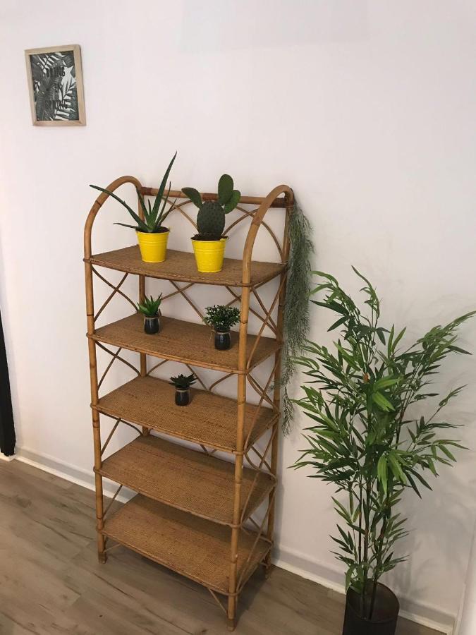 Cactus 2 Bedroom On Calle San Miguel Minutes From The By Namaste Elite Apartament Torremolinos
